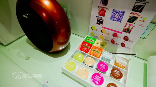 南國花都,冬日綻放最美郁金香