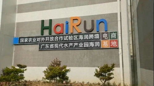 著力優(yōu)化營商環(huán)境,加速壯大海灣經(jīng)濟